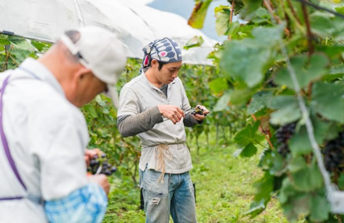 agricultura-japao